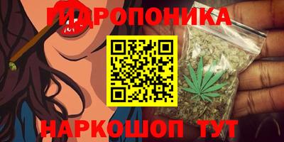 PSILOCYBIN Новодвинск