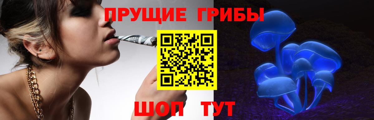 Санкт-Петербург  Псилоцибиновые грибы Psilocybe  Вход с VPN 