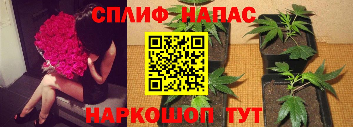 Бошки Шишки MAZAR  Каннабис индика  Конопля тримм  Шишки марихуана AK-47  Вход с VPN  Санкт-Петербург 